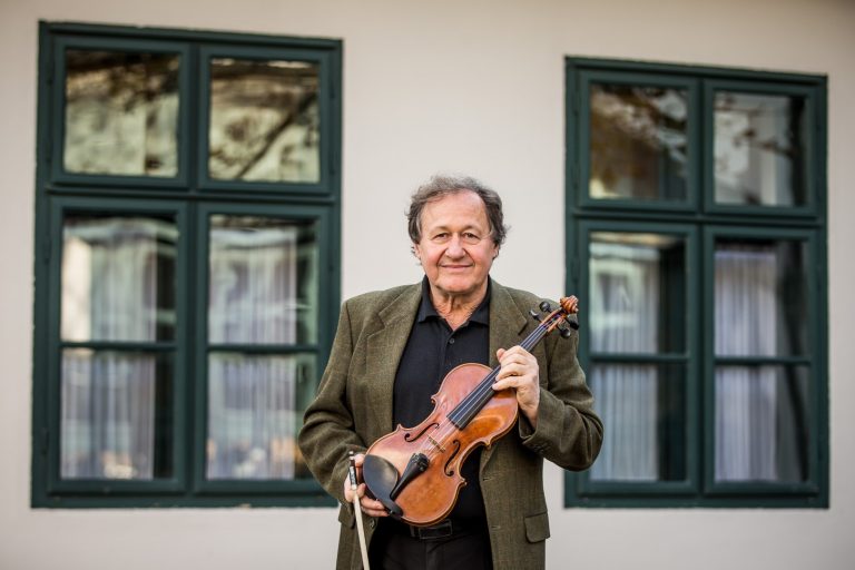 Hamar Petű, hegedű